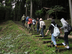 新涼の清流とつづら棚田を楽しむ森林セラピーウォーク体験