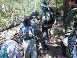 瀬戸内しまのわ2014　現代アートとお茶の祭典in尾道?芸術文化の共創?