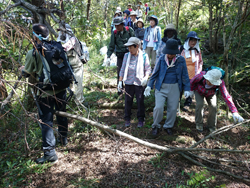 瀬戸内しまのわ2014　現代アートとお茶の祭典in尾道?芸術文化の共創?