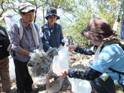 瀬戸内しまのわ2014　現代アートとお茶の祭典in尾道?芸術文化の共創?