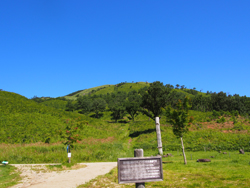 安芸太田町・癒しの森林セラピーロード散策と景観保全体験ツアー