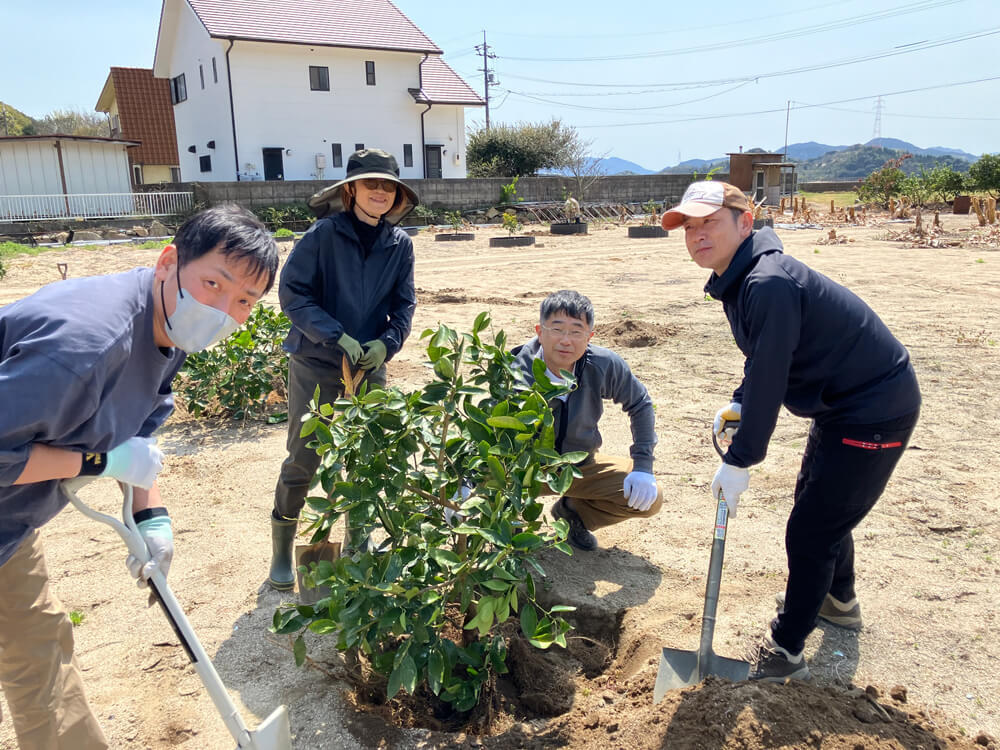 瀬戸内産ライム